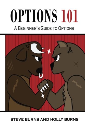 Options 101: A Beginner’s Guide to Trading Options in the Stock Market