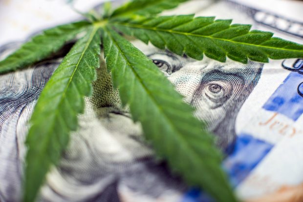 cannamoney 620x414 - Financing Options for Starting a Weed Business