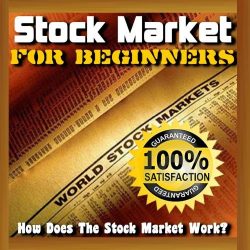 Stock Market for Beginners – How Does the Stock Market Work
